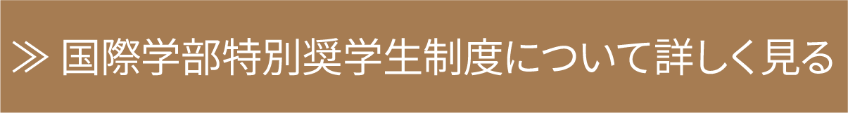 ≫ 国際学部特別奨学生制度について詳しく見る