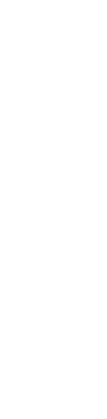 自由に生きたヤンチャ少年から一人ひとりの幸せを願う弁護士へ