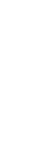 迷いのない蹴り技で  立ちはだかる壁もブチ破る！